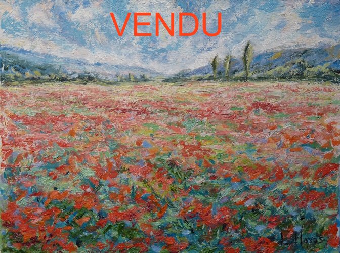 COQUELICOTS-A-ERAGNY-3F